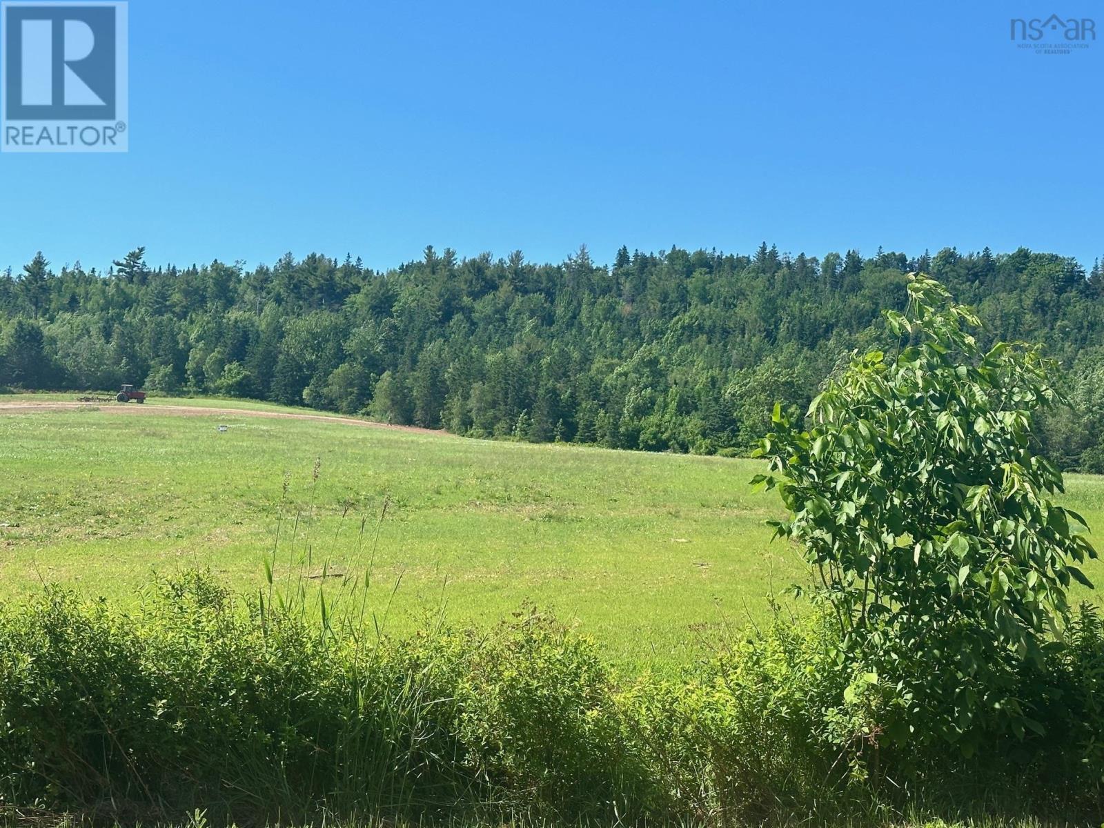 Lot 1 Highway 221, Valley View Acres Property Photo 3