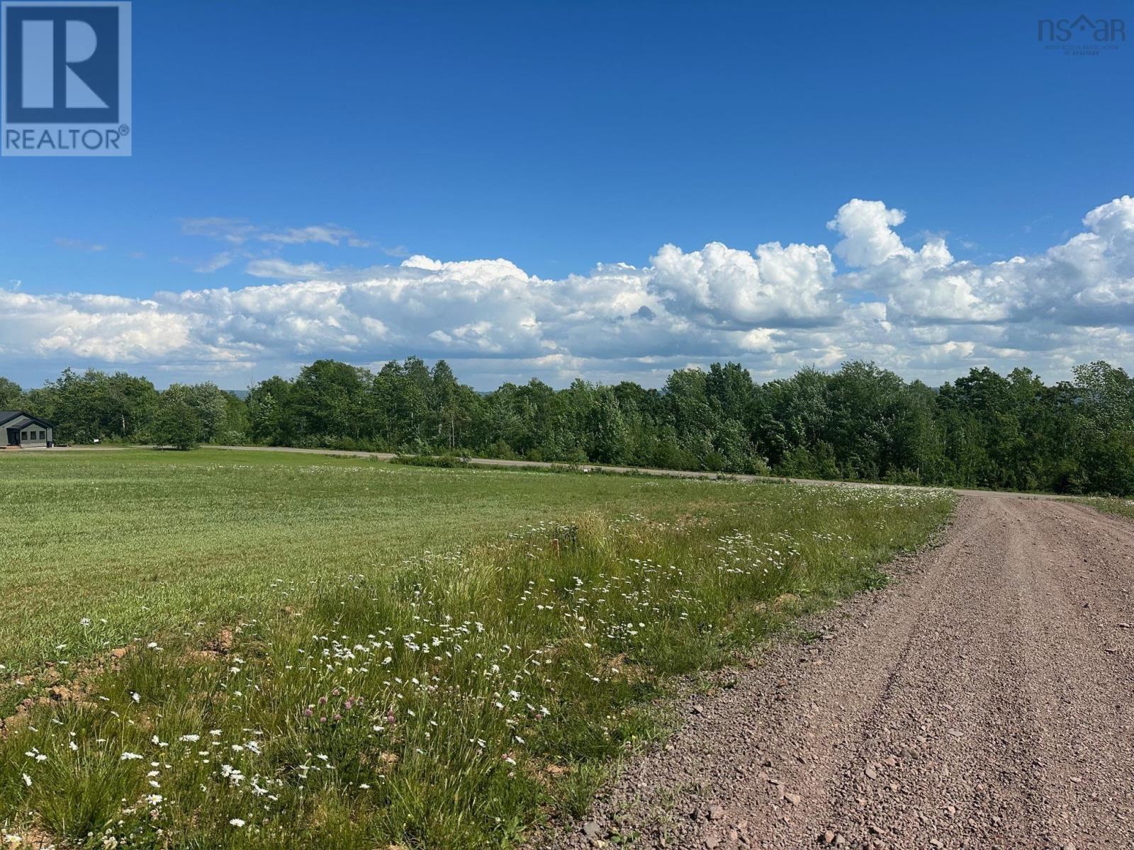 Lot 1 Highway 221, Valley View Acres Property Photo 5