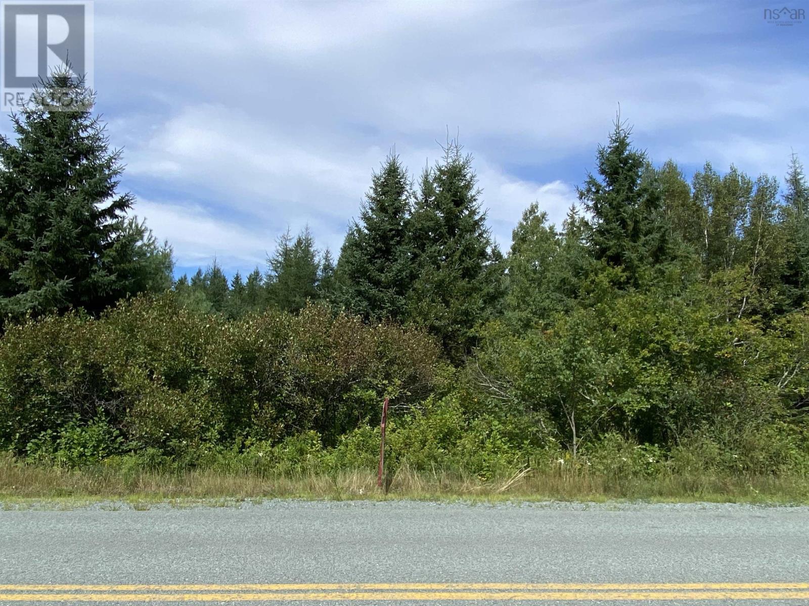 Lot 1 Highway 486 Property Photo 2