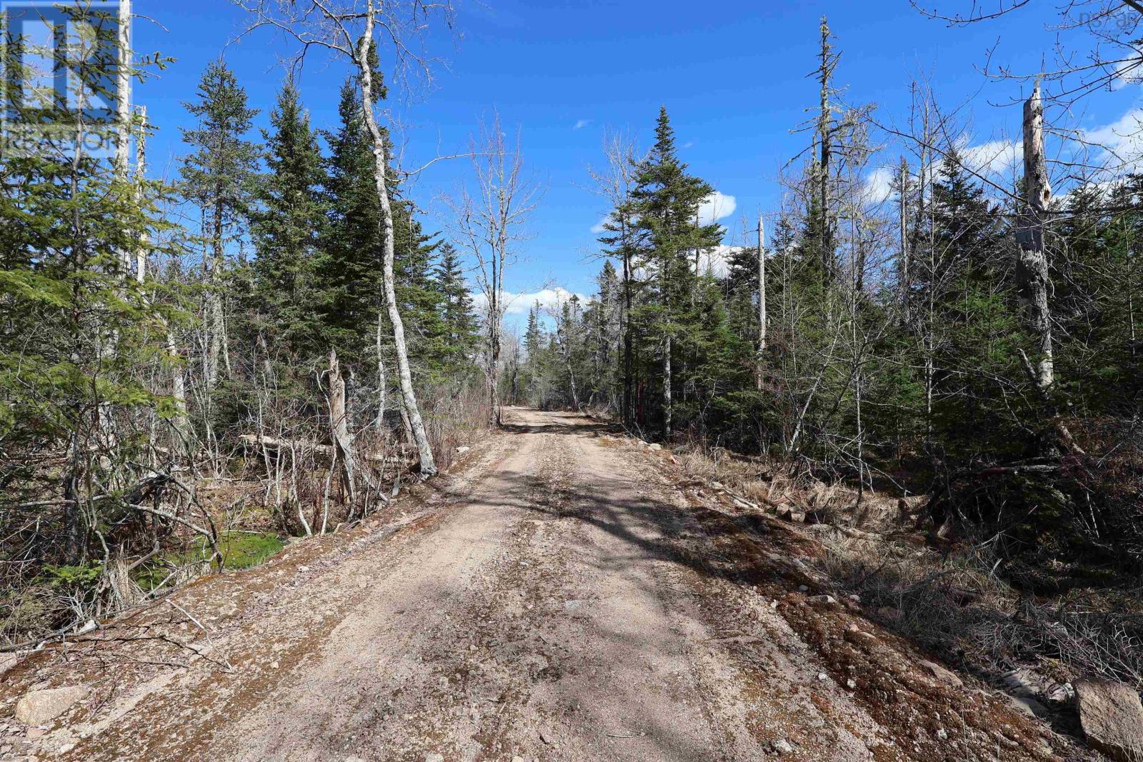 Lot 38 Waterloo Avenue Property Photo 8