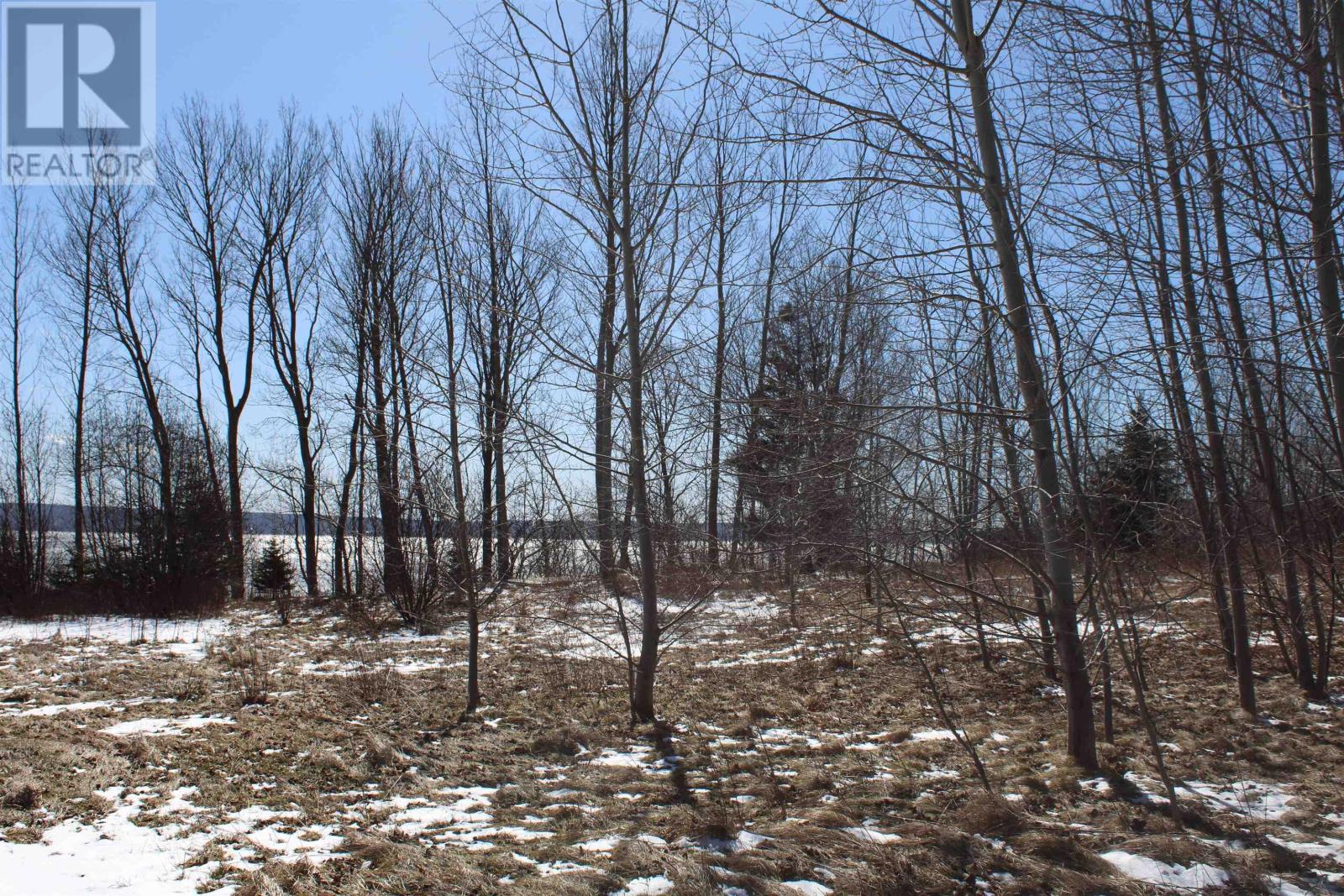 Granville Road Property Photo 6