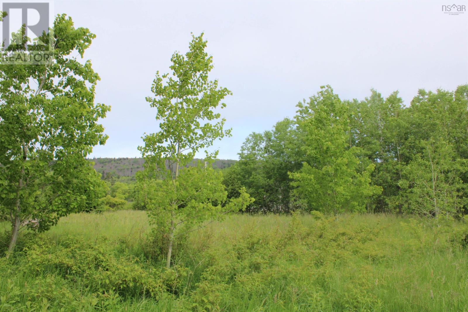 Granville Road Property Photo 14