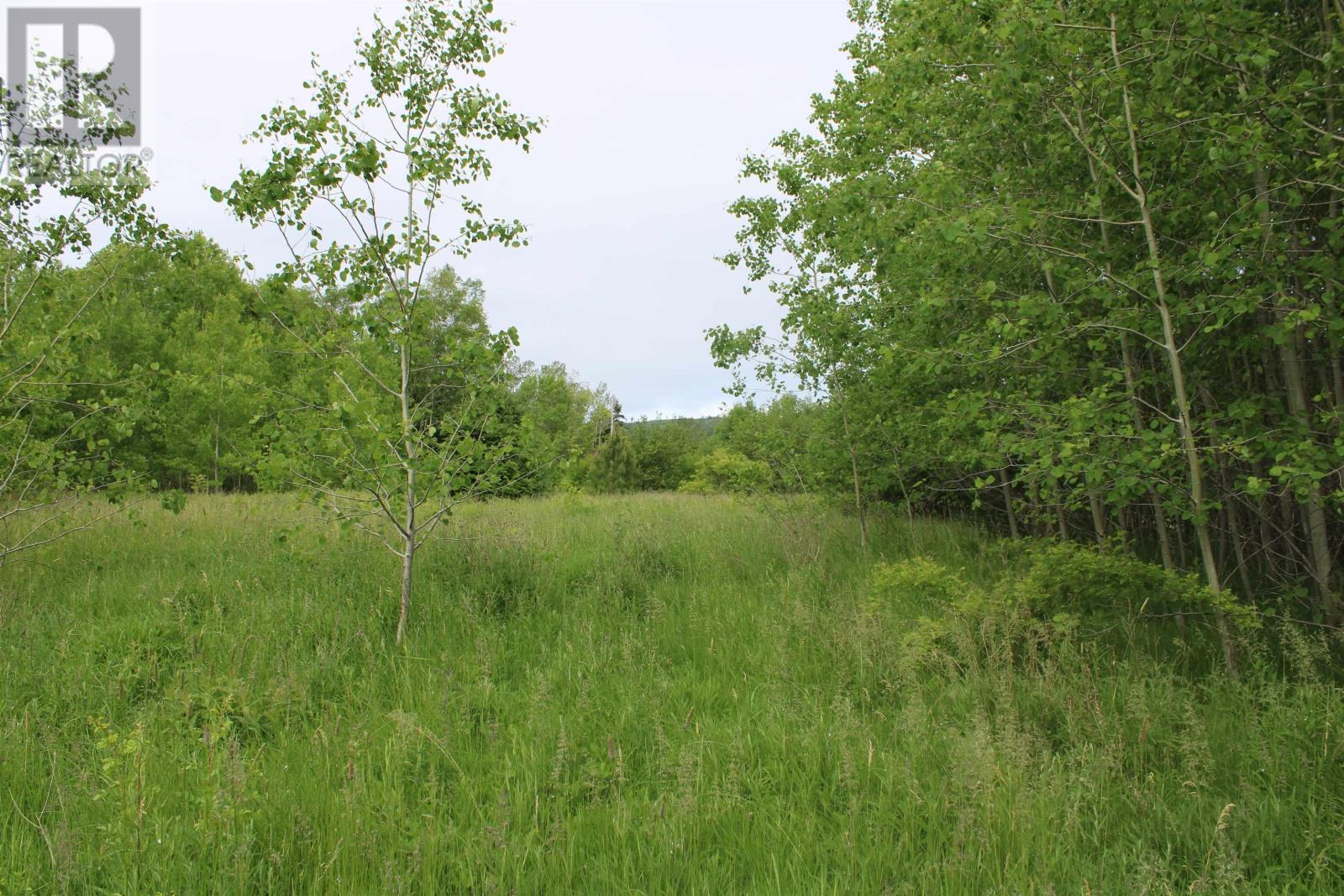 Granville Road Property Photo 15