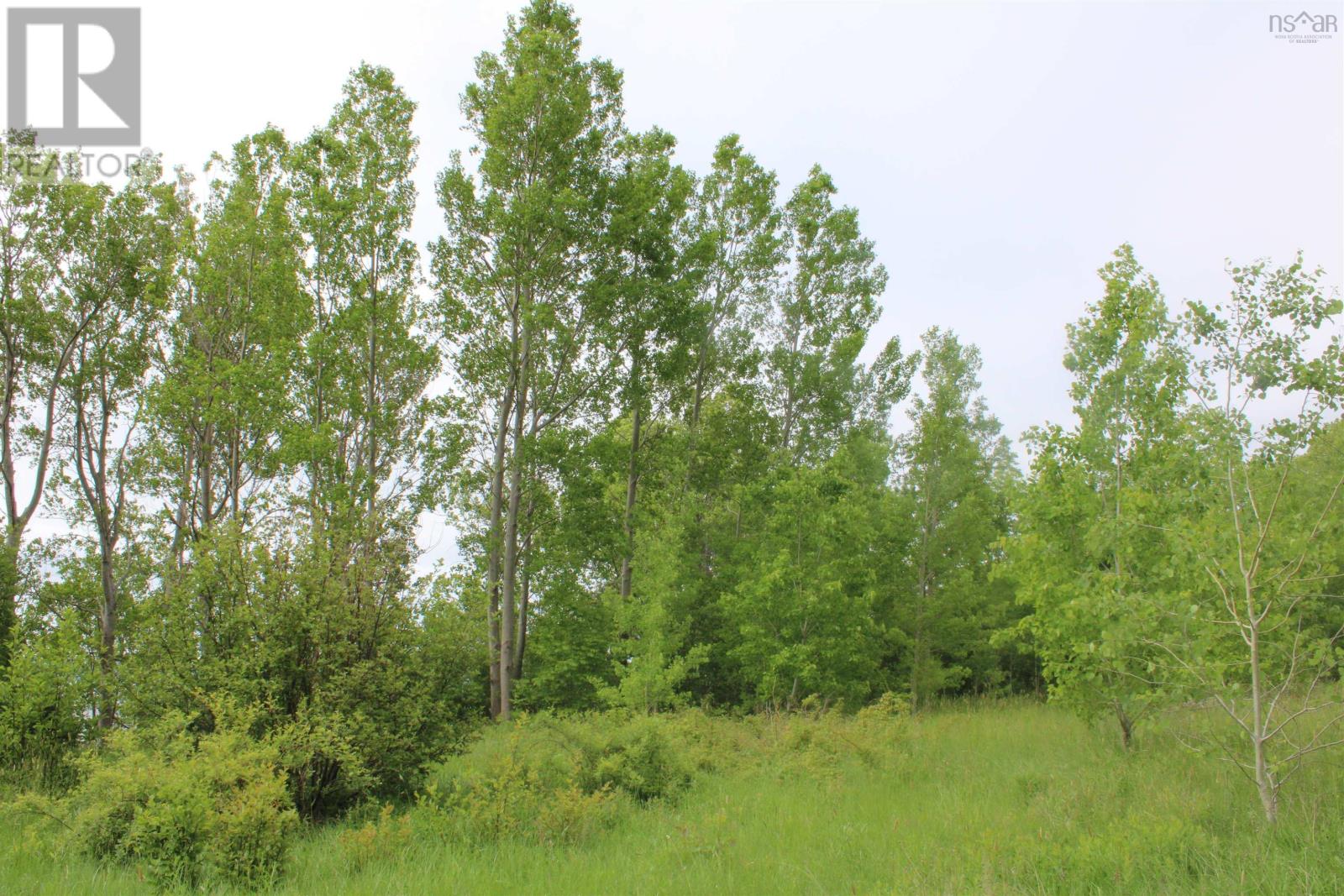 Granville Road Property Photo 16