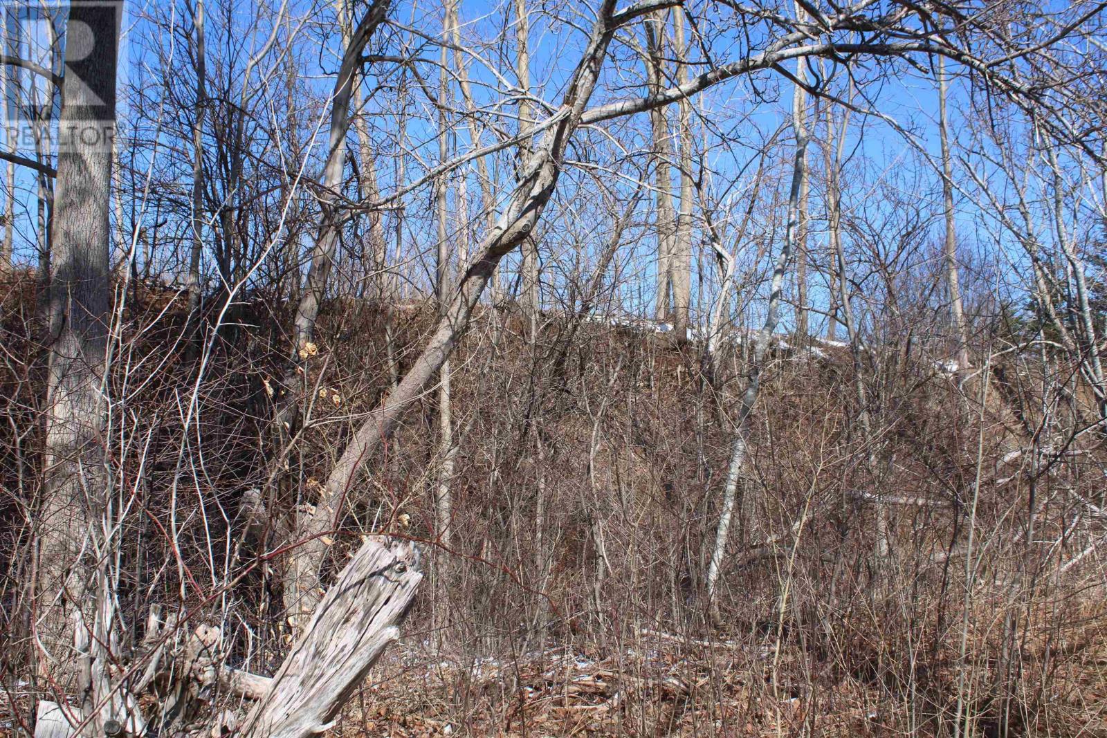 Granville Road Property Photo 17