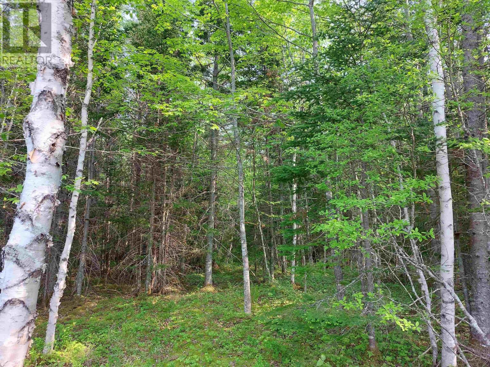Lot 4 Beaver Ln. Property Photo 4