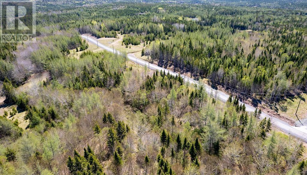Lot 4 Beaver Ln. Property Photo 6