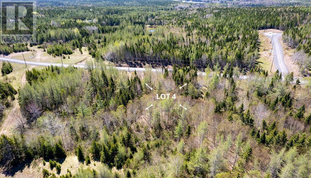Lot 4 Beaver Ln. Property Photo 11