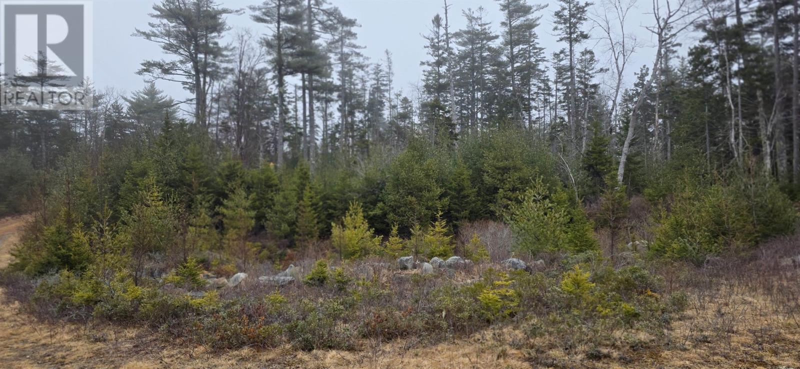 Lot 39 Plymouth Gentian Road Property Photo 9