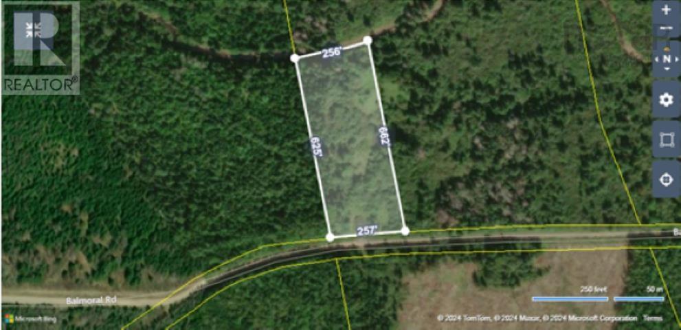 81 Balmoral Road Property Photo 32