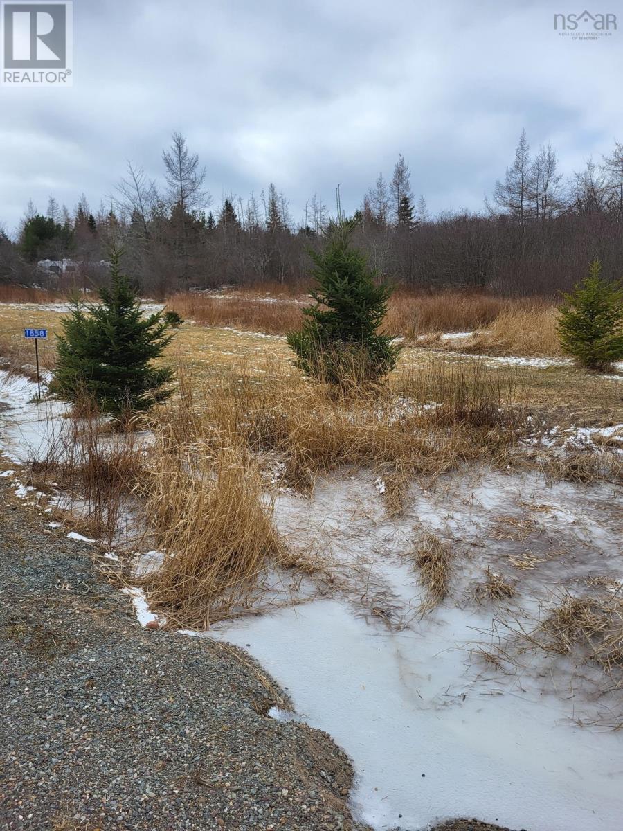 1856 Meadowvale Road Property Photo 20