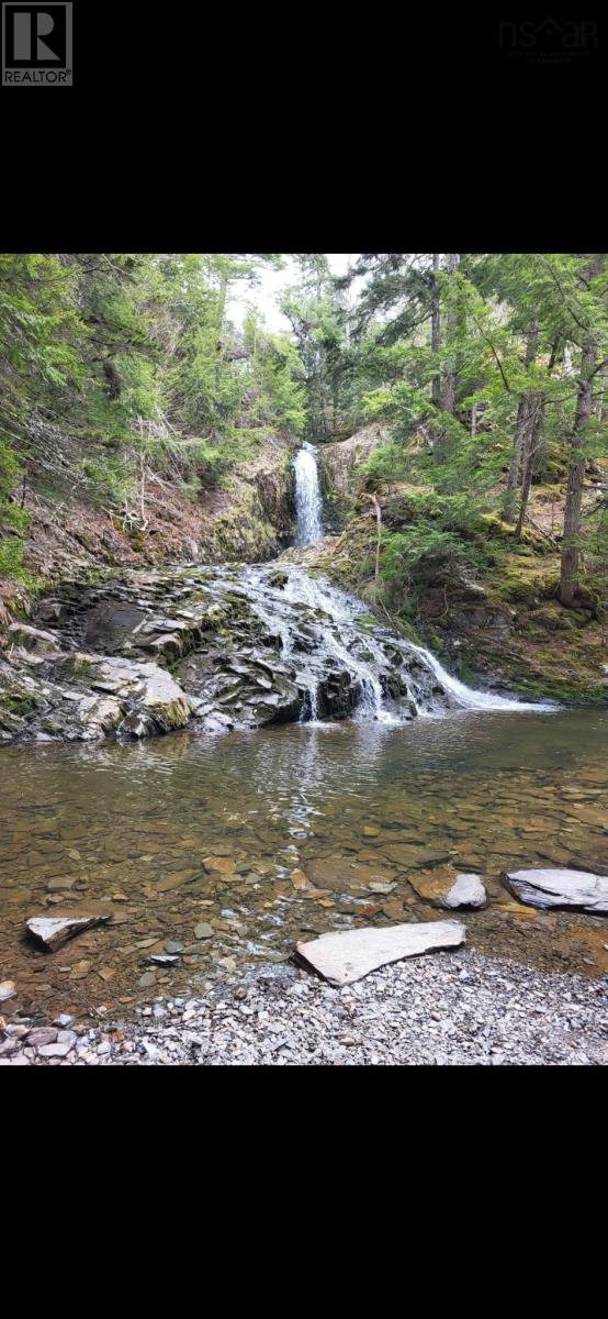 1856 Meadowvale Road Property Photo 23