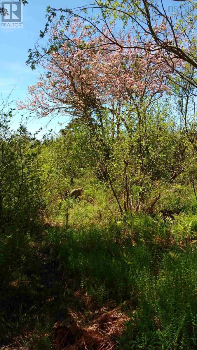 Lots Lake George Road Property Photo 11