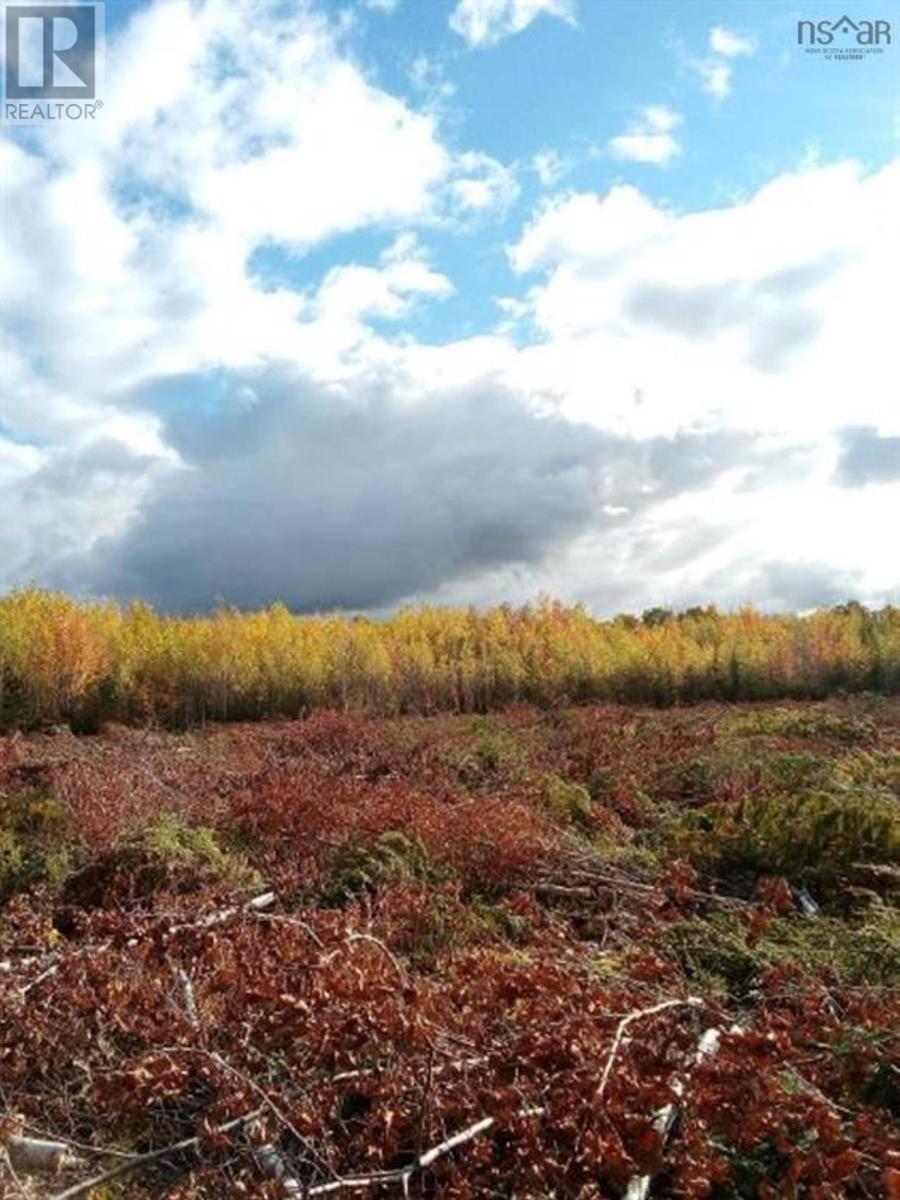 Lot Mackay Road Property Photo 5