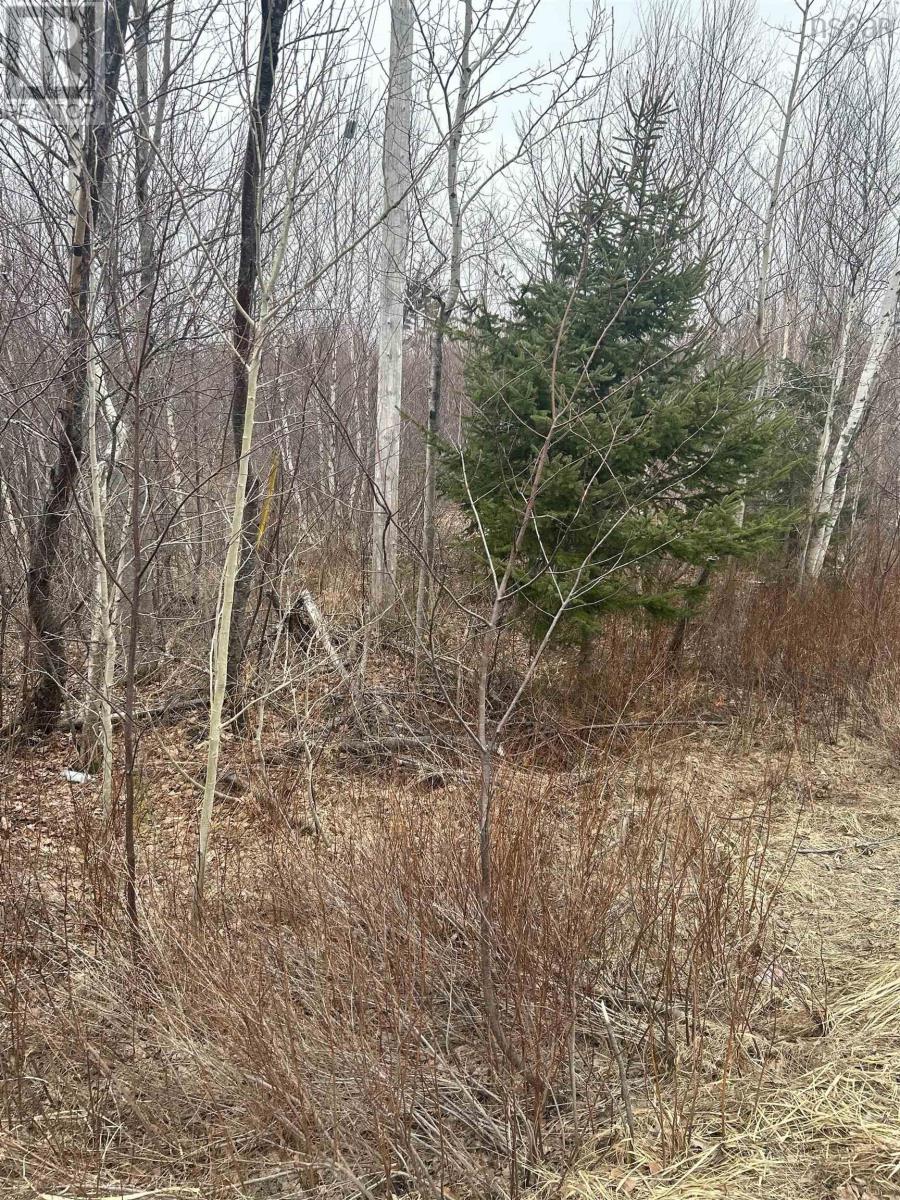 Lot 6 No 368 Highway Fountain Road Property Photo 5