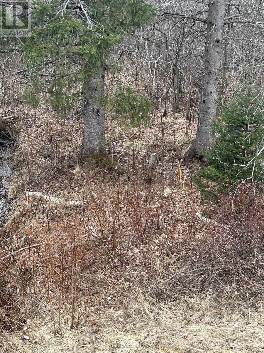 Lot 6 No 368 Highway Fountain Road Property Photo 6