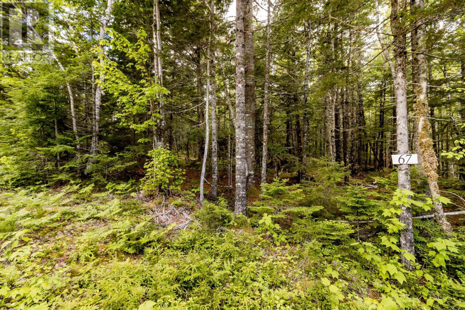 Lot 67 White Tail Pass Property Photo 1