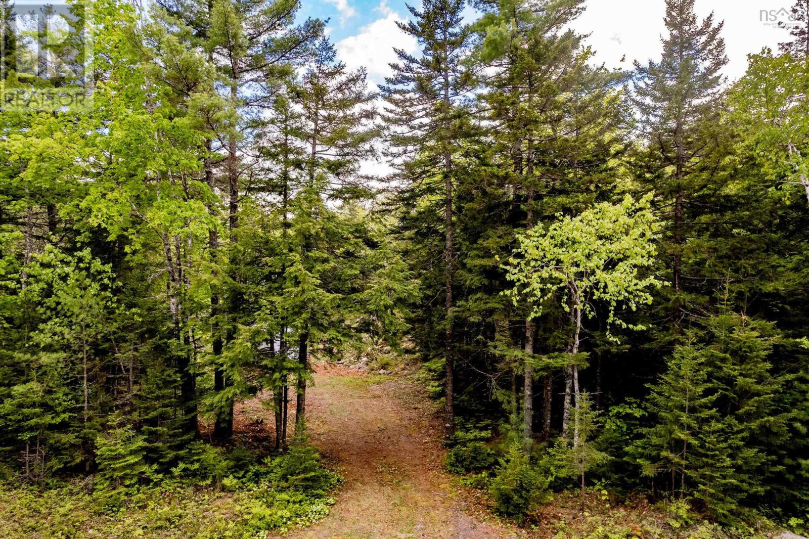 Lot 68 White Tail Pass Property Photo 1