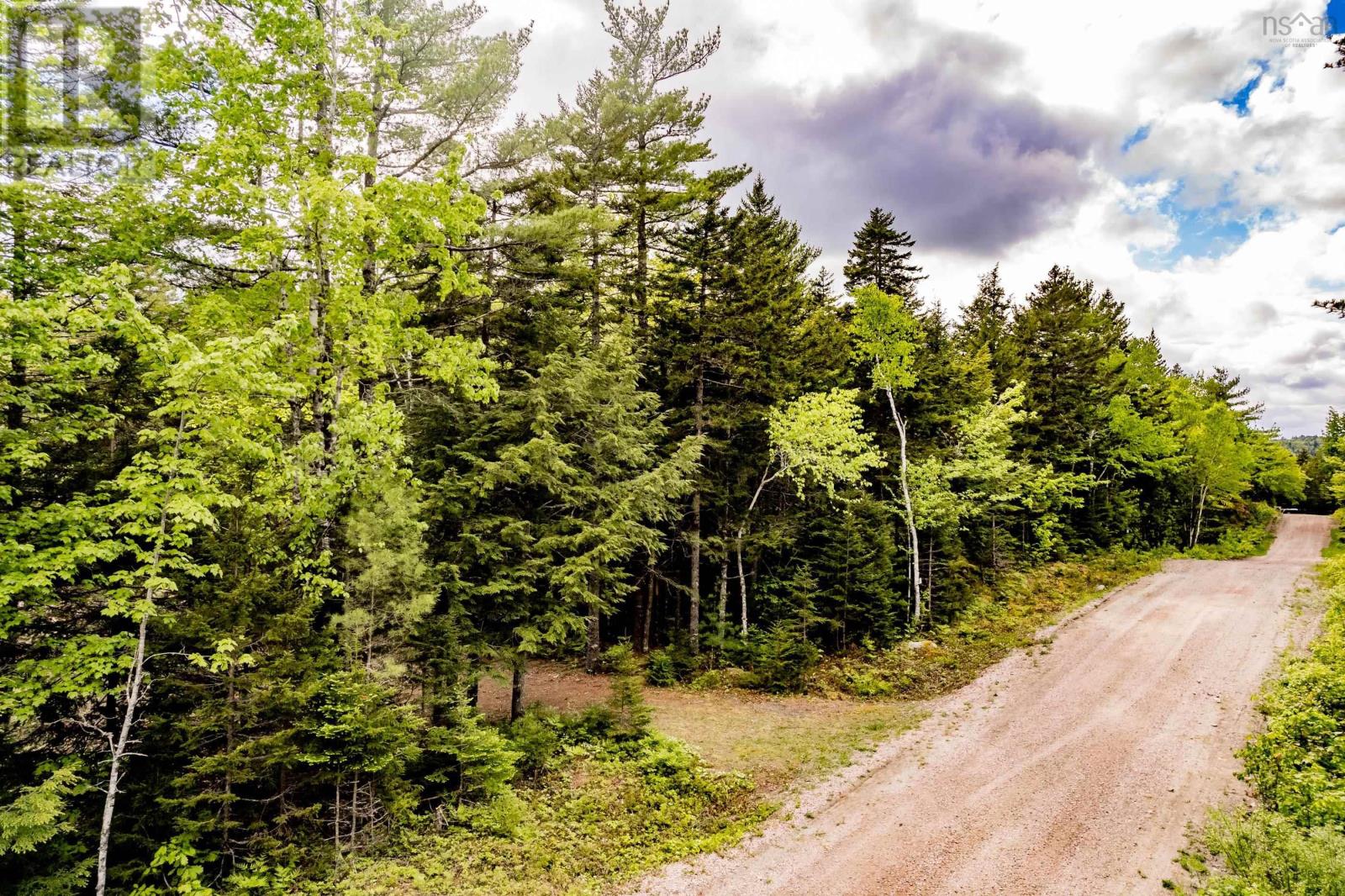 Lot 68 White Tail Pass Property Photo 3