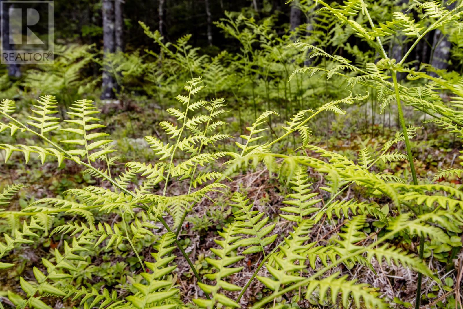 Lot 68 White Tail Pass Property Photo 5