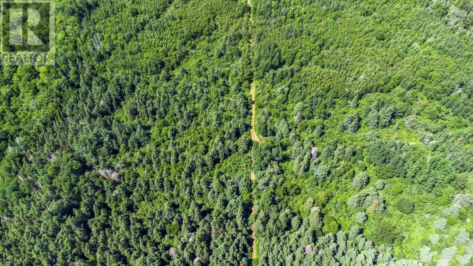 Center Line Road Property Photo 5