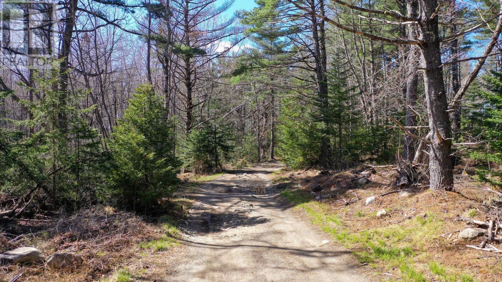 Brier Hill Road Property Photo 6