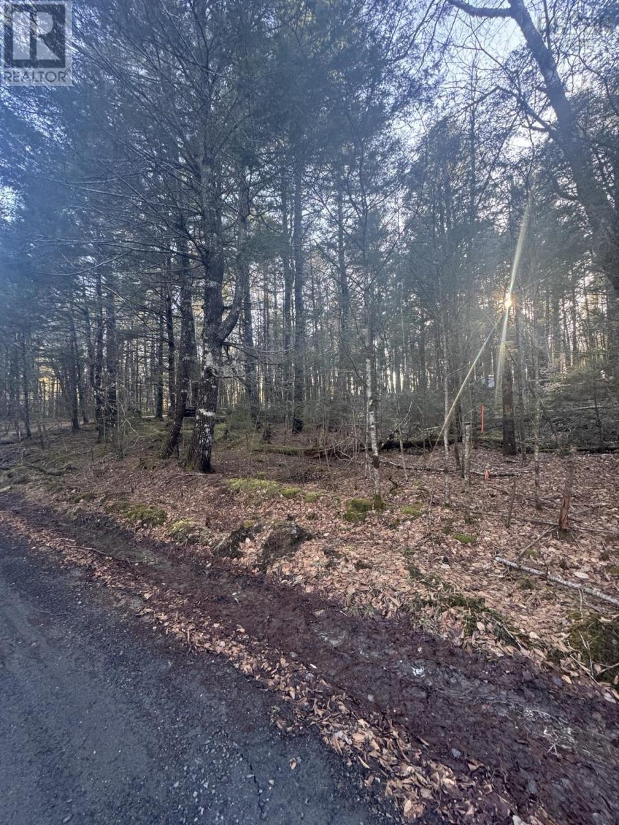 Lot 39 & 40 Beaver Dam Crossover Property Photo 5