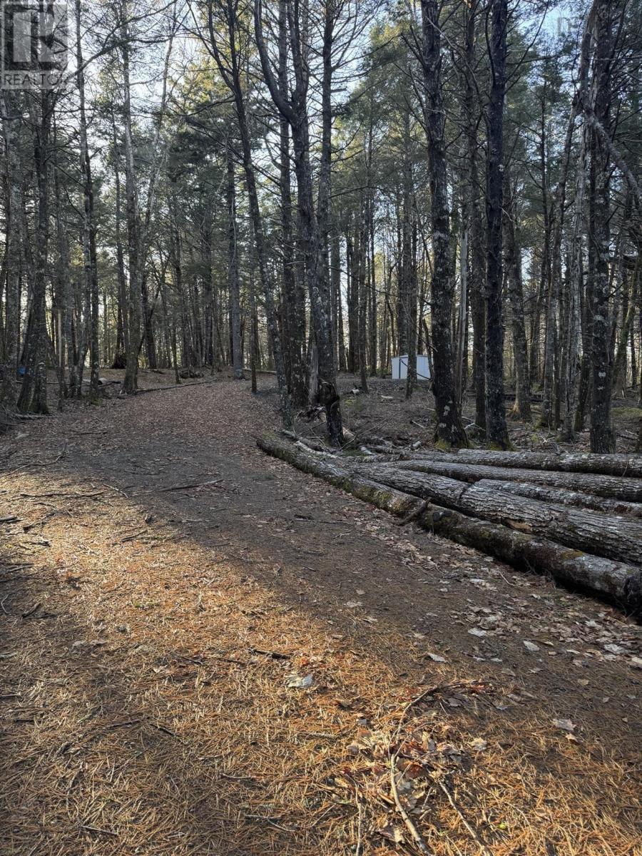 Lot 39 & 40 Beaver Dam Crossover Property Photo 6