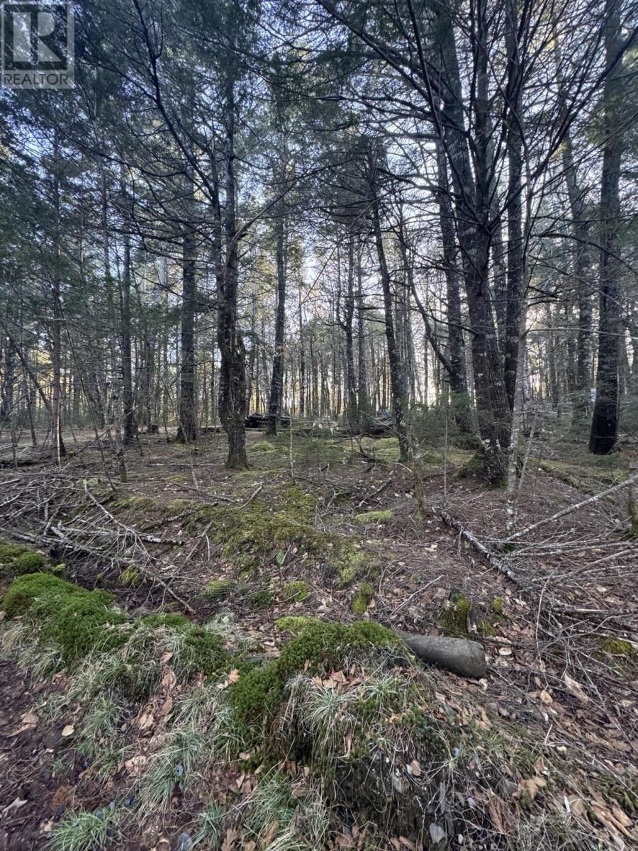 Lot 39 & 40 Beaver Dam Crossover Property Photo 7