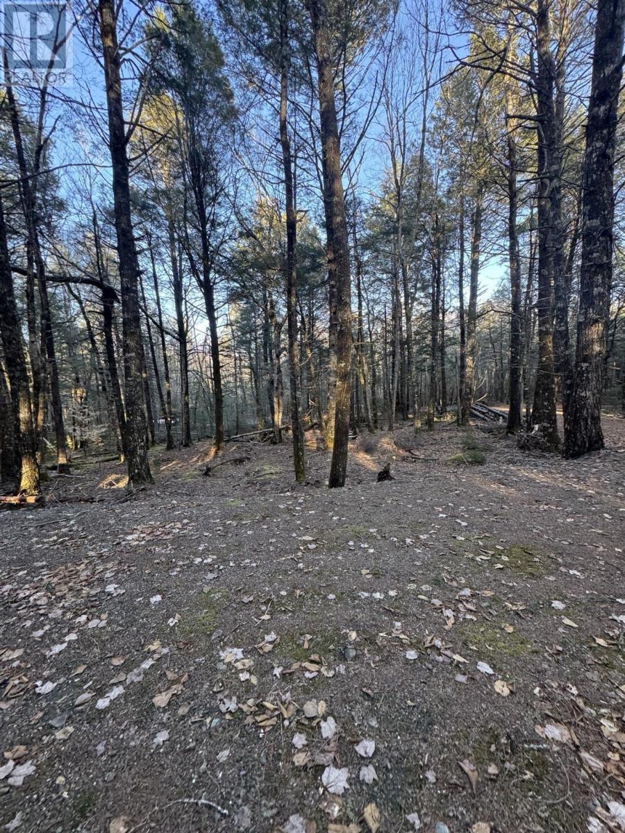 Lot 39 & 40 Beaver Dam Crossover Property Photo 8