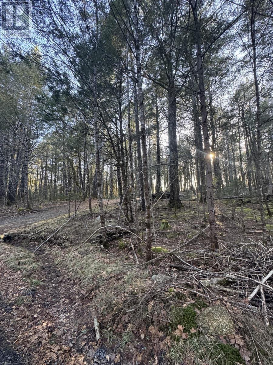 Lot 39 & 40 Beaver Dam Crossover Property Photo 9