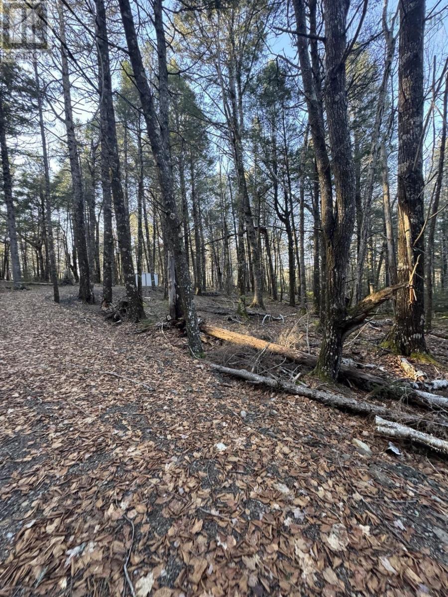Lot 39 & 40 Beaver Dam Crossover Property Photo 11