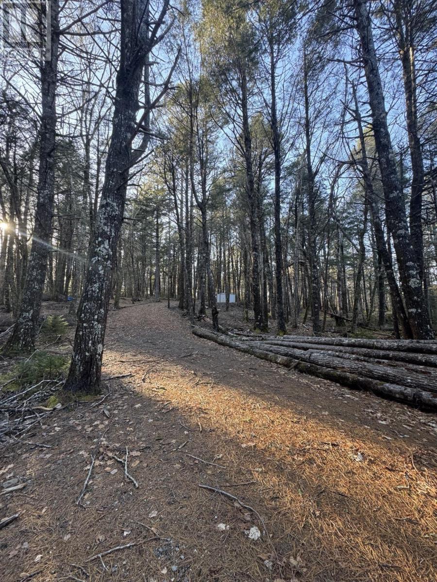Lot 39 & 40 Beaver Dam Crossover Property Photo 12
