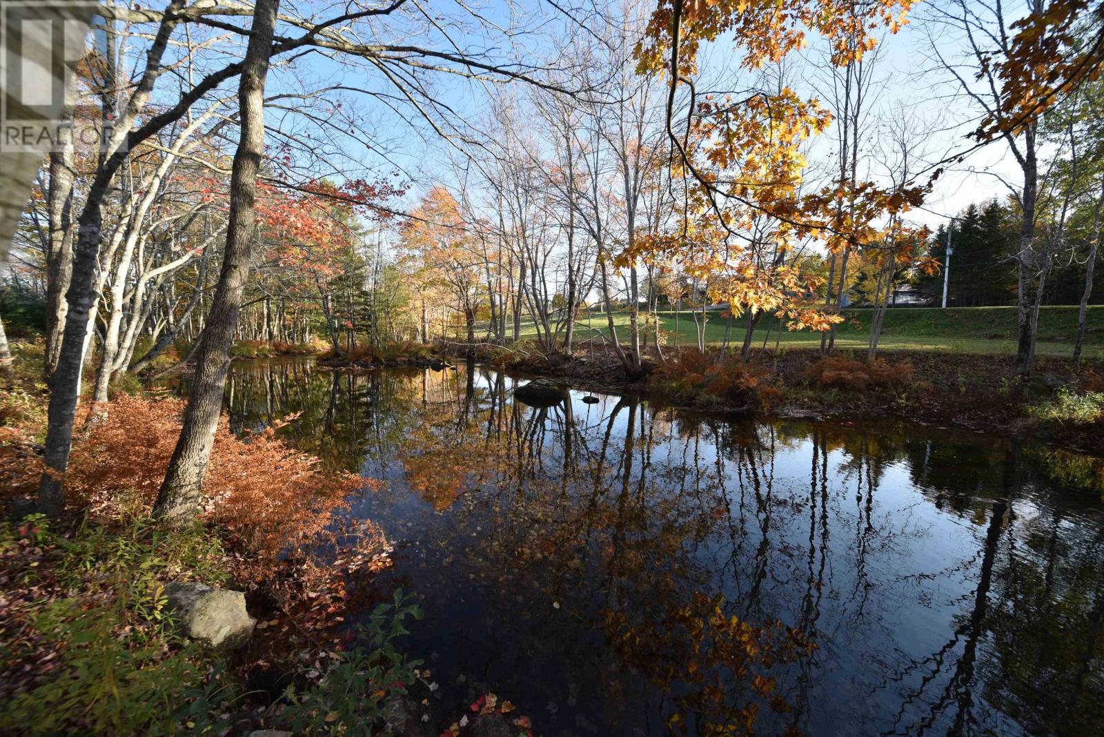 166 Hallamore Mills Road Property Photo 39