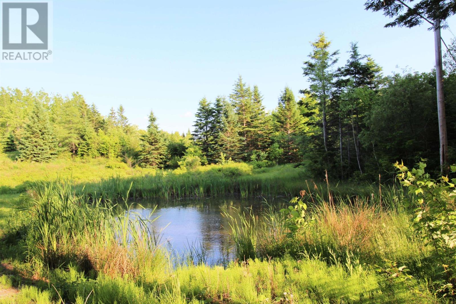 10 Long Lake Road Property Photo 44