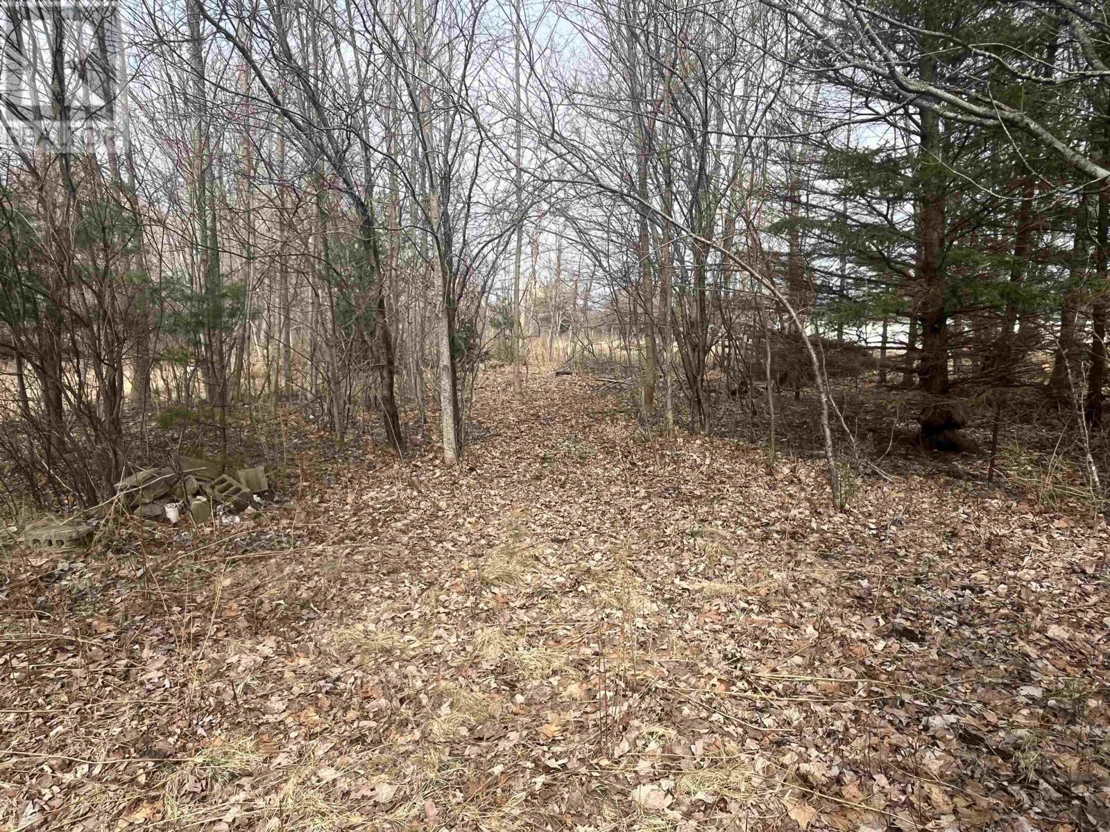 Lot 2126 Cowan Street Property Photo 2