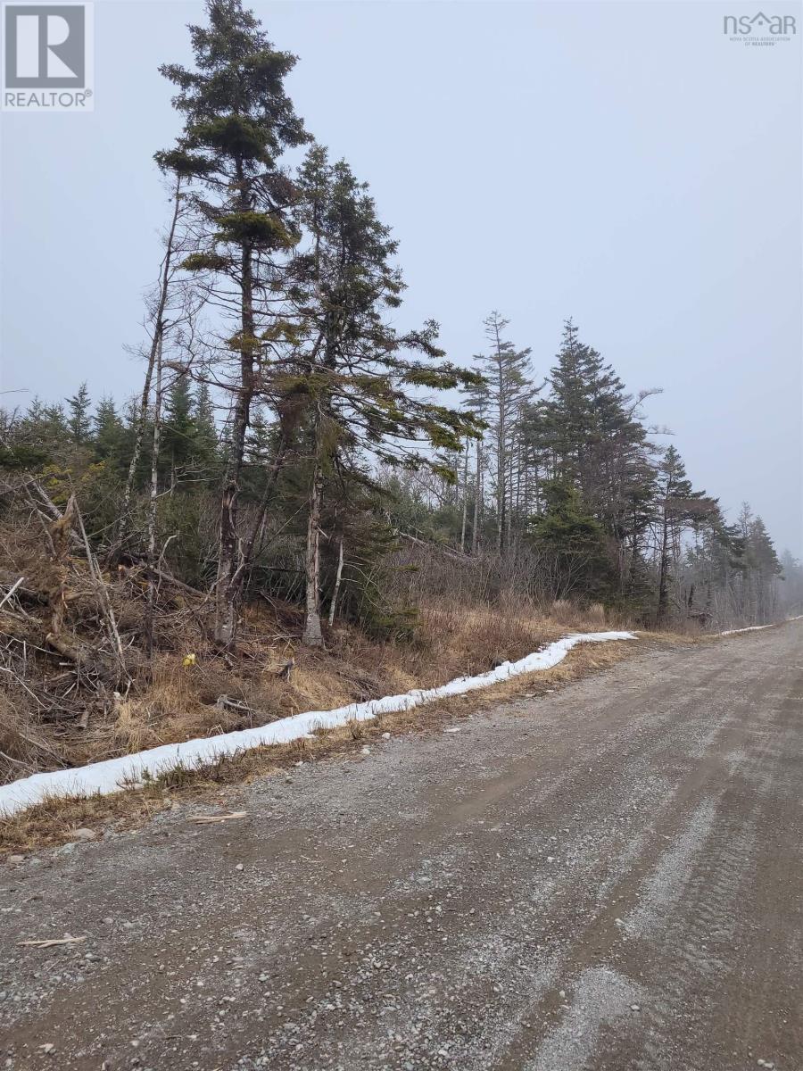 . Louisbourg Bypass Property Photo 10