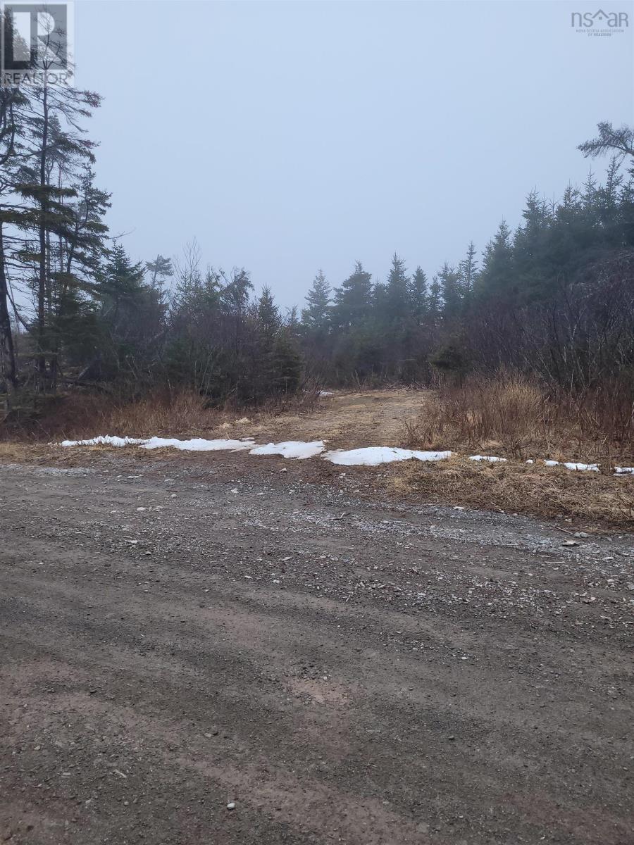 . Louisbourg Bypass Property Photo 11