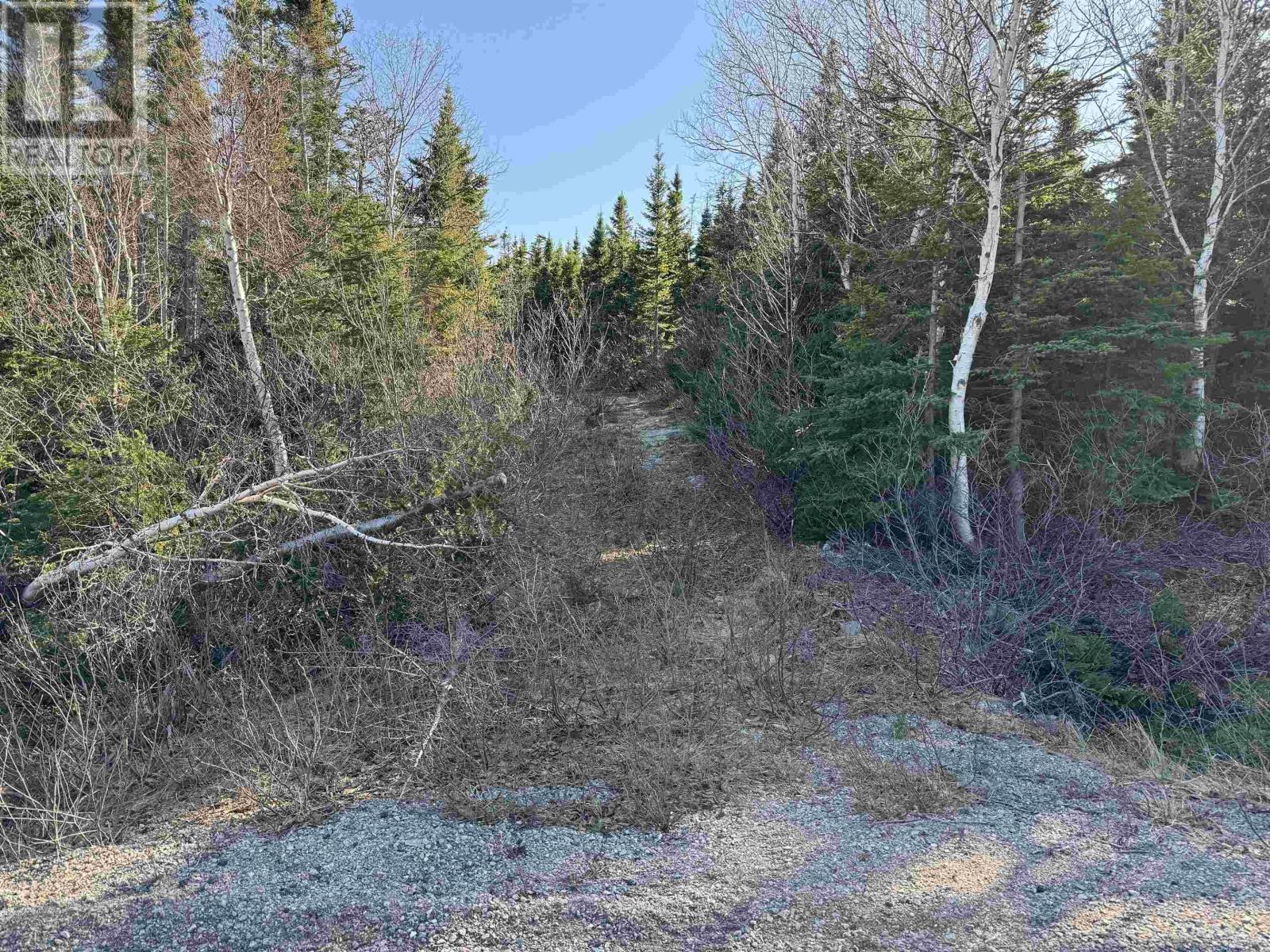 White Point Road Property Photo 4