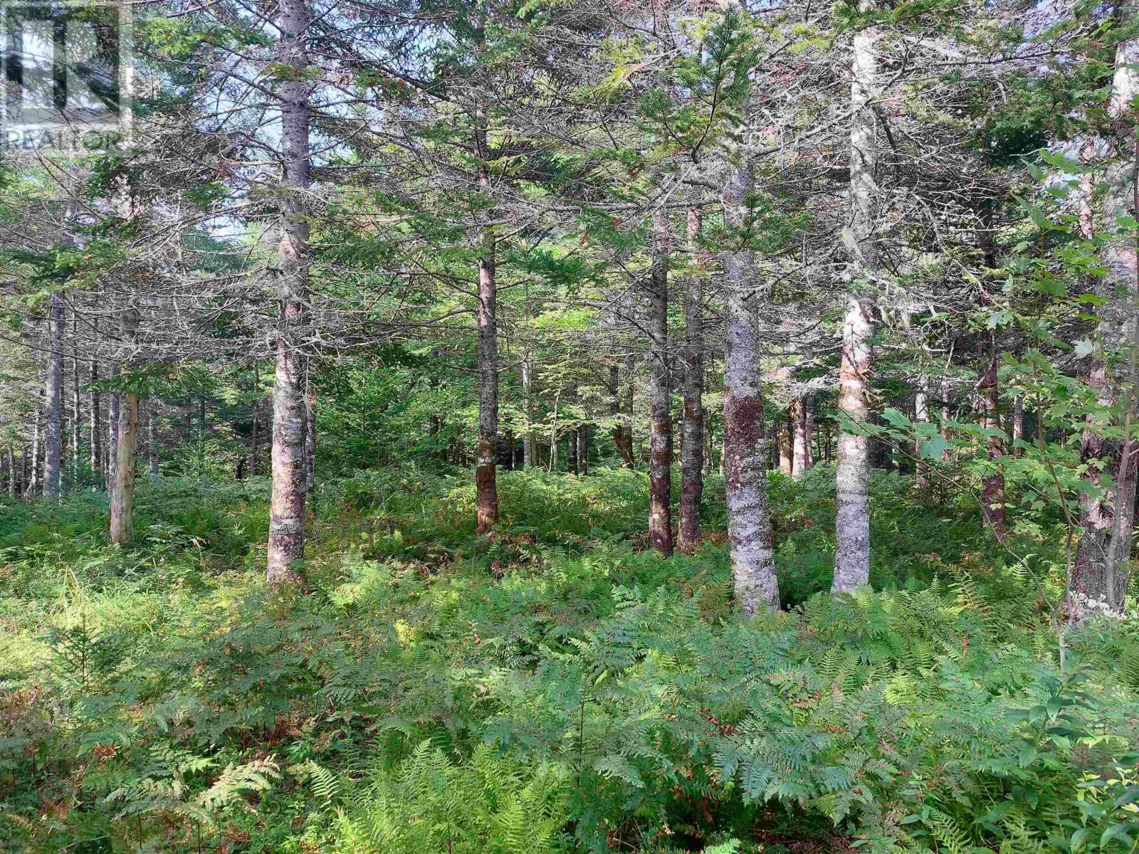 Lot 5 West Bay Hwy Property Photo 7