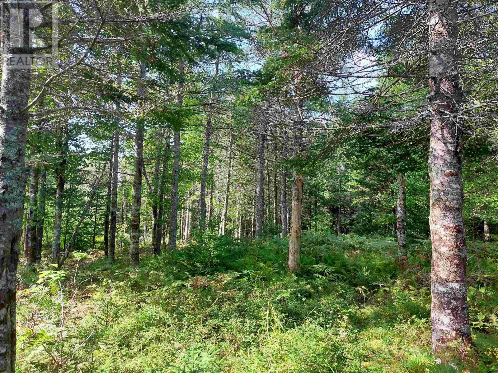 Lot 5 West Bay Hwy Property Photo 10