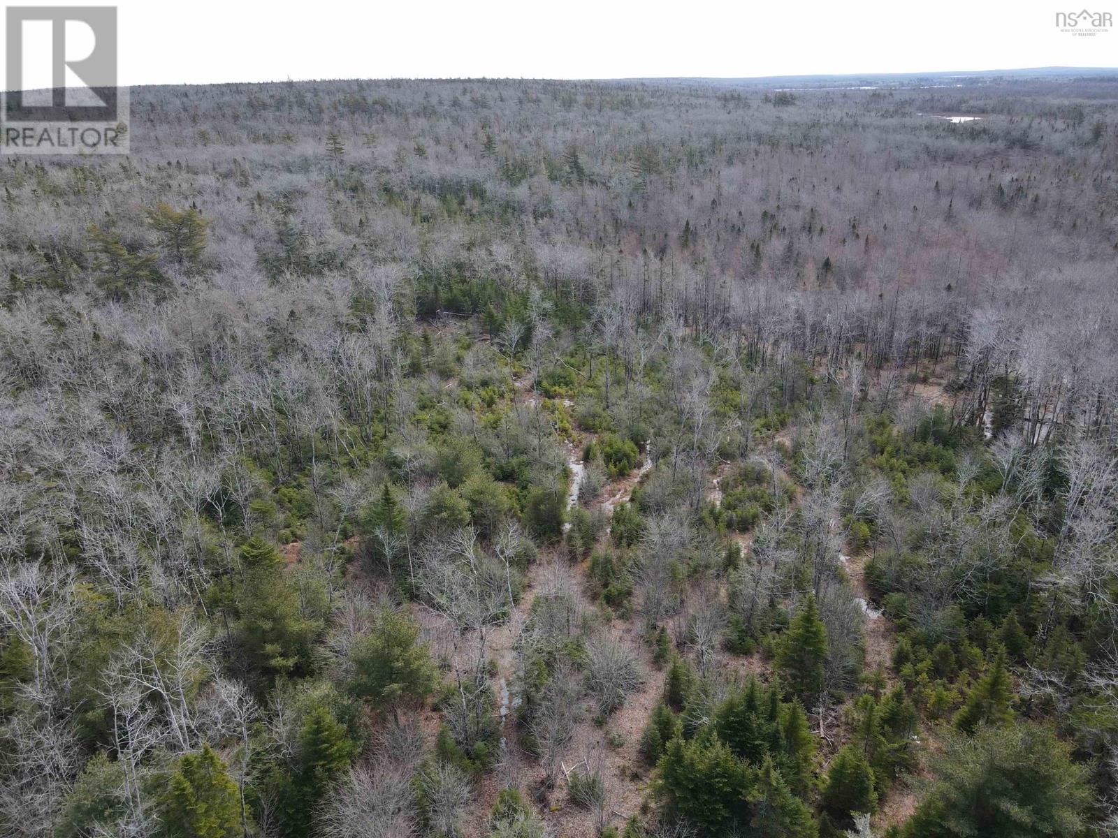 Lot Highway 103 Property Photo 17