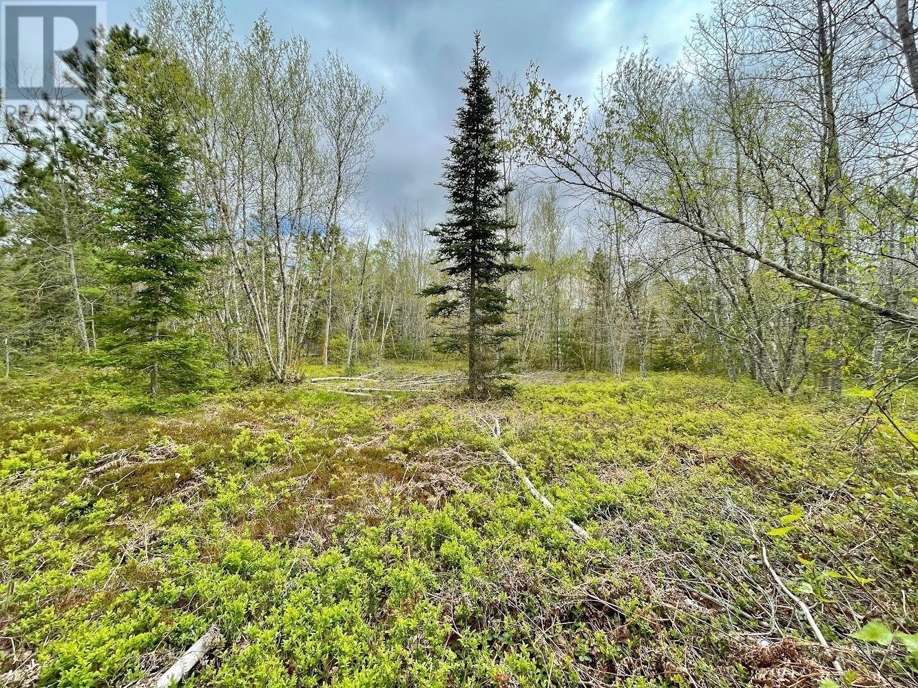 Lot Highway 201 Property Photo 4