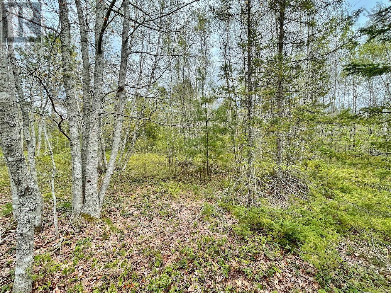 Lot Highway 201 Property Photo 5