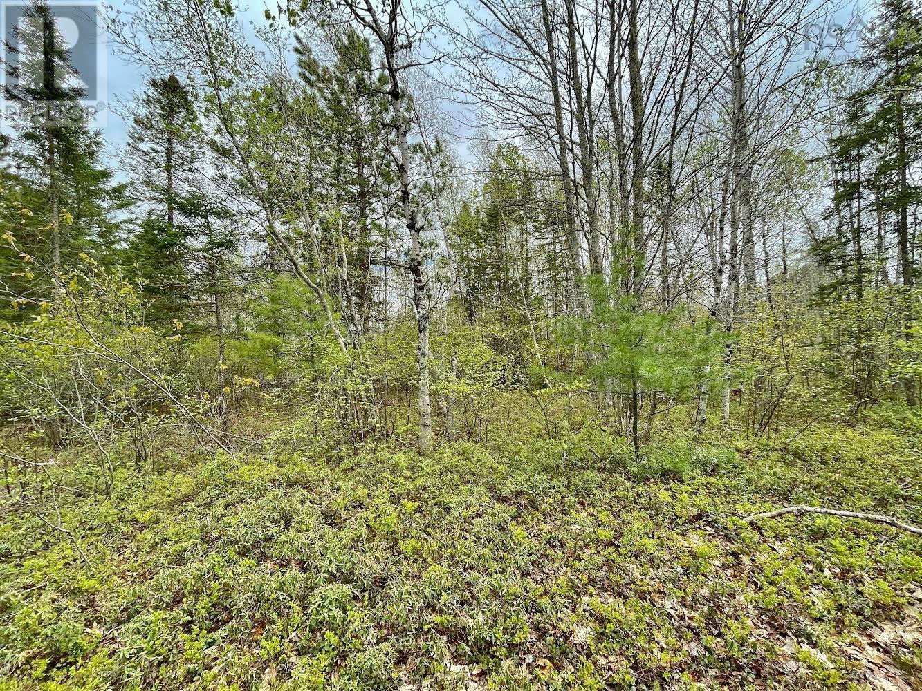Lot Highway 201 Property Photo 6