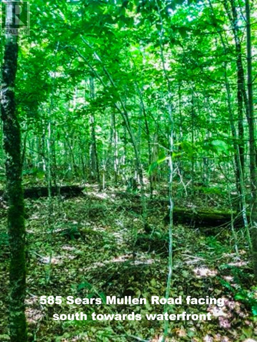 585 Sears Mullen Road Property Photo 7