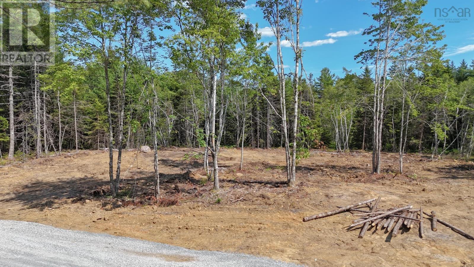 Lot 107 Cleversey Ridge Park Property Photo 2