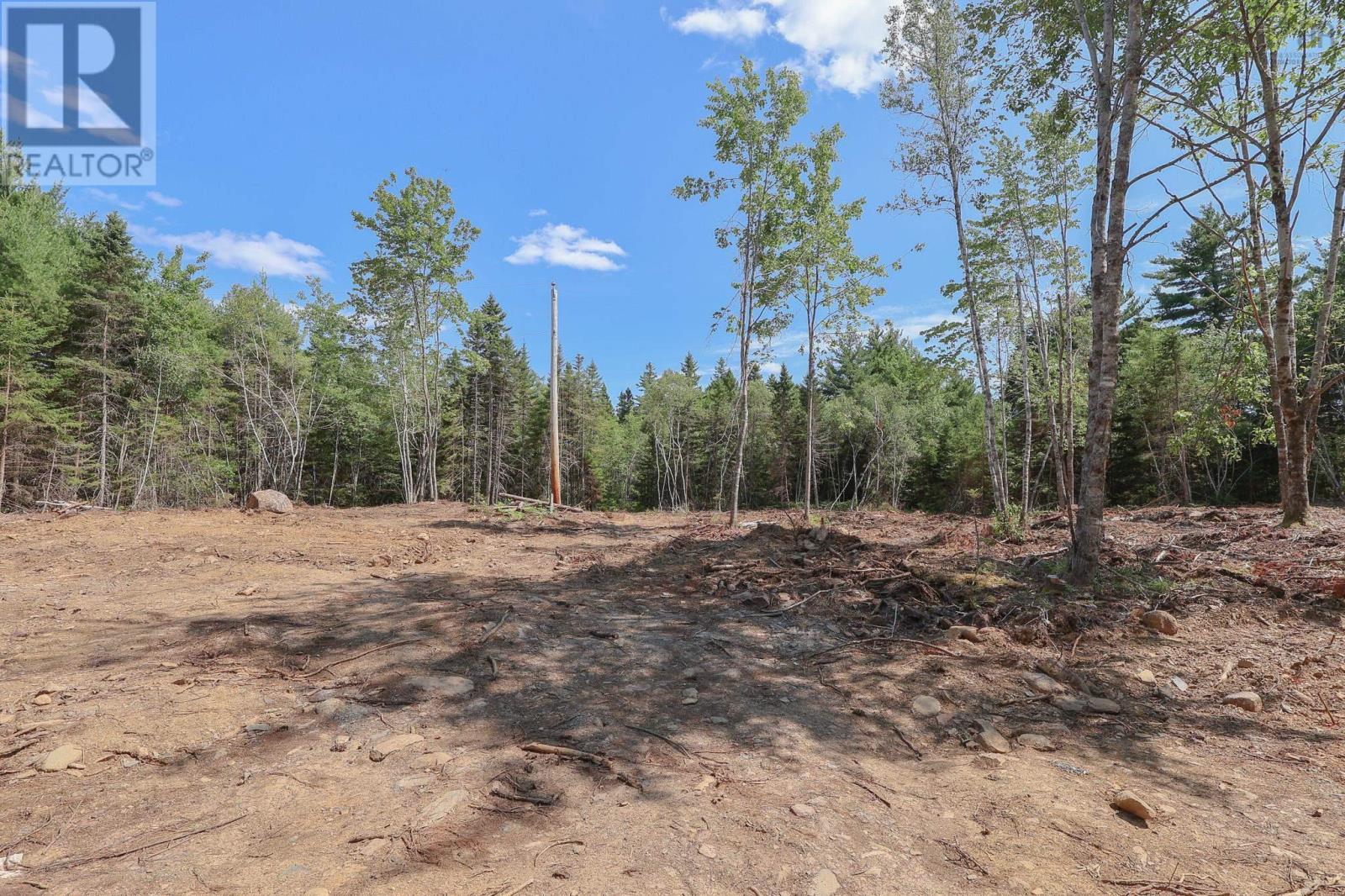 Lot 107 Cleversey Ridge Park Property Photo 4