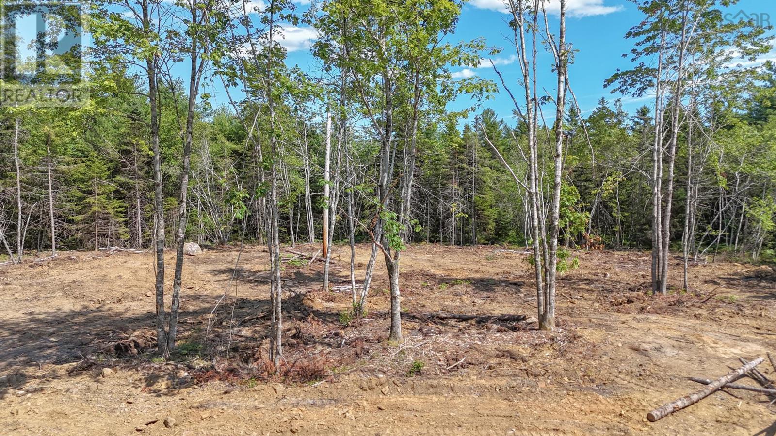Lot 107 Cleversey Ridge Park Property Photo 6