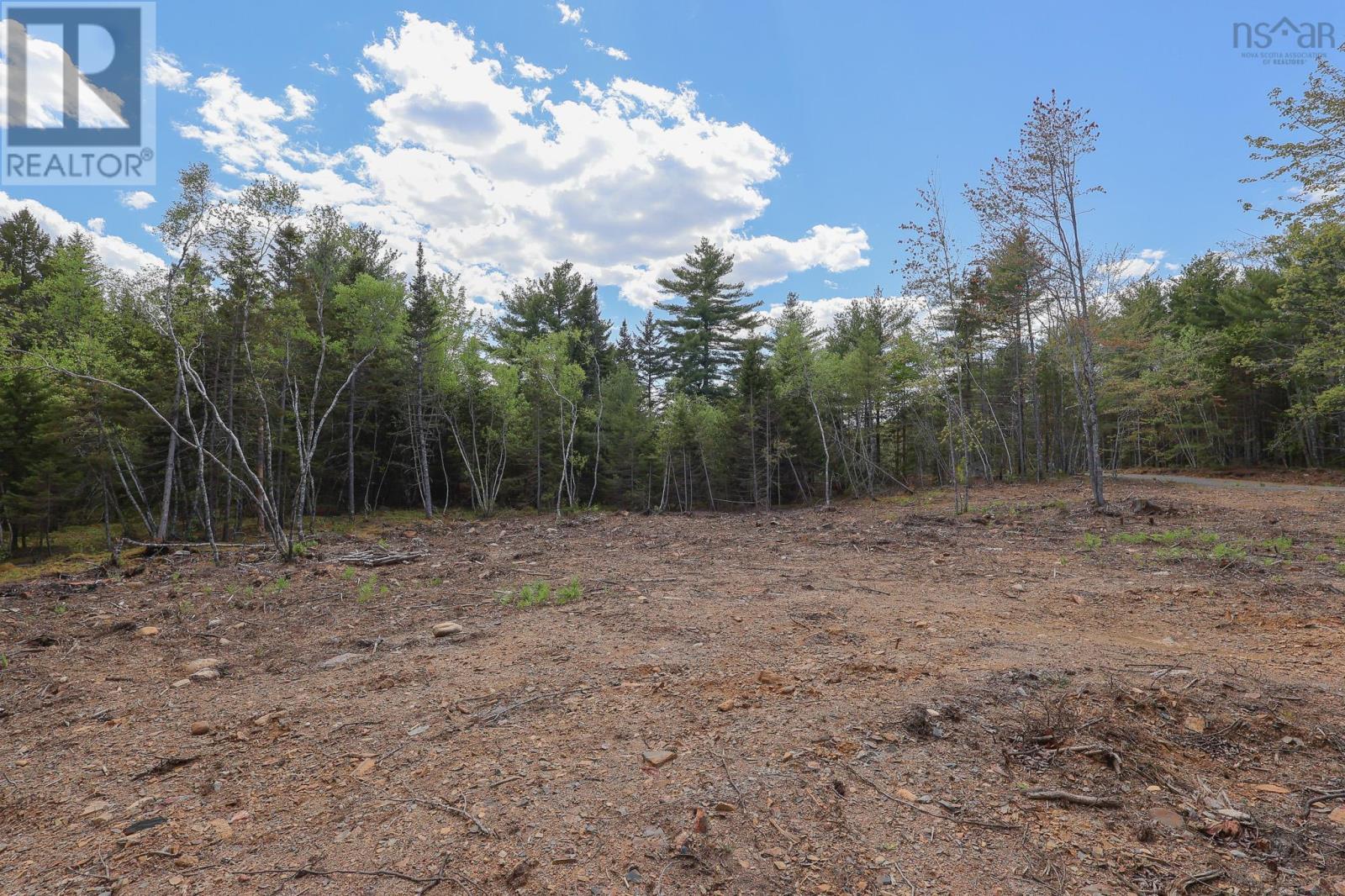 Lot 107 Cleversey Ridge Park Property Photo 6